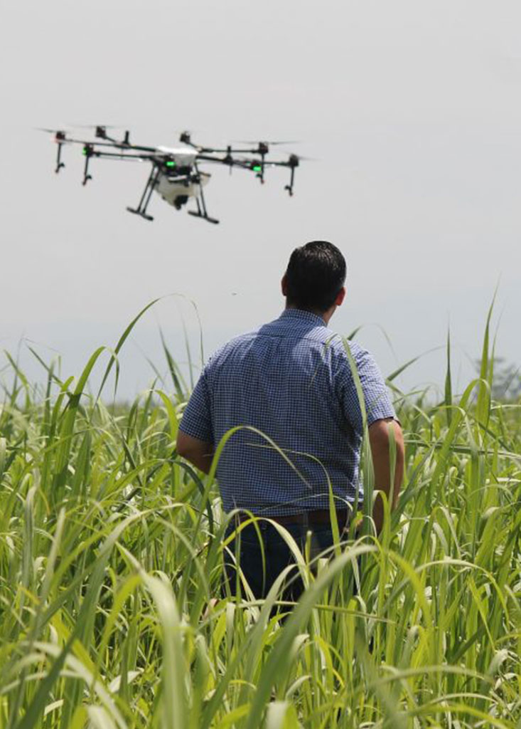 Agriculture_01